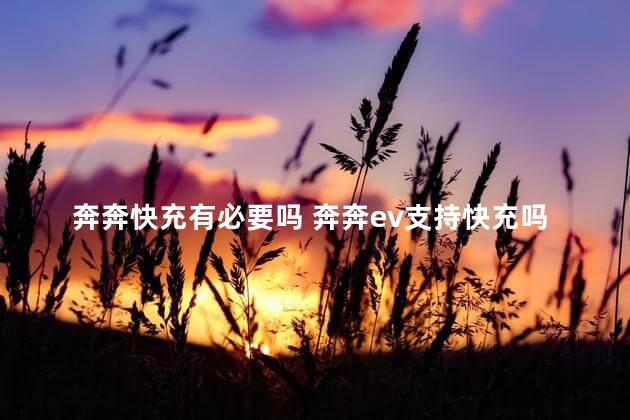 奔奔快充有必要吗 奔奔ev支持快充吗